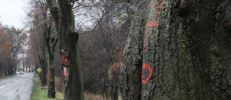 Ja jestem zawiedziony. Tyle nam naobiecywali... - Zdjęcie główne