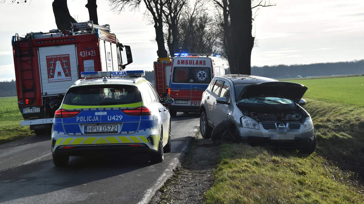 Wypadek w Bodzewku. Urwane koło, samochód uderzył w drzewo. Gostyńscy strażacy w akcji - Zdjęcie główne