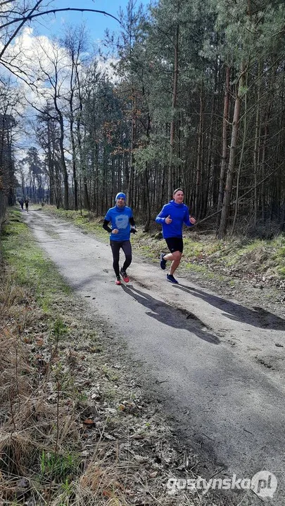 Gostyń. Amatorzy biegania spotykają się co tydzień w sobotę rano na trasie 5 km w podgostyńskim lesie Parkrun Gostyń