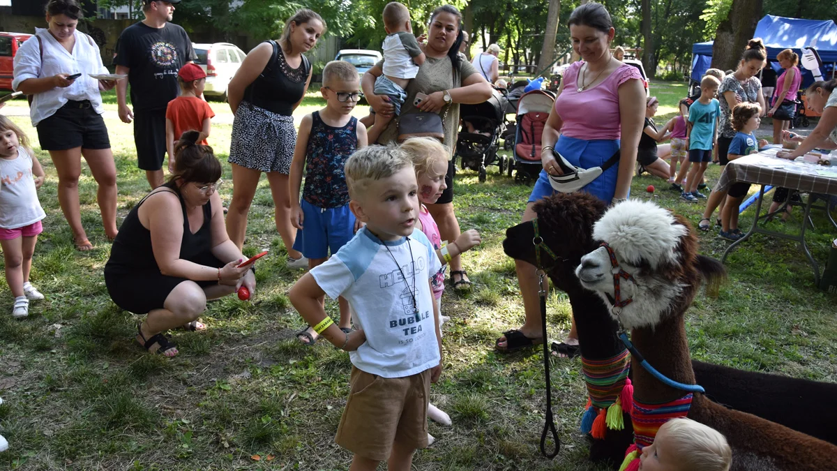 Rodzinny słoneczny piknik w Pogorzeli. Park miejski pełen dzieci i... kolorowych kamieni - Zdjęcie główne