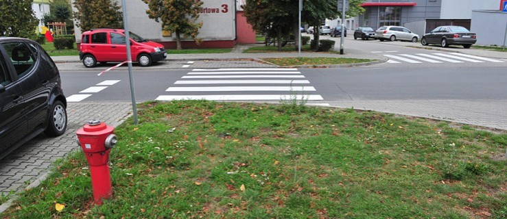 Przejście dla pieszych prowadzi na trawnik. "Wygląda to śmiesznie, ale…" - Zdjęcie główne