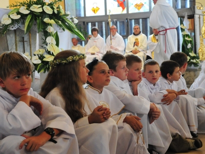 Nawiedzenie jarocińskich parafii przez obraz Matki Bożej - Zdjęcie główne