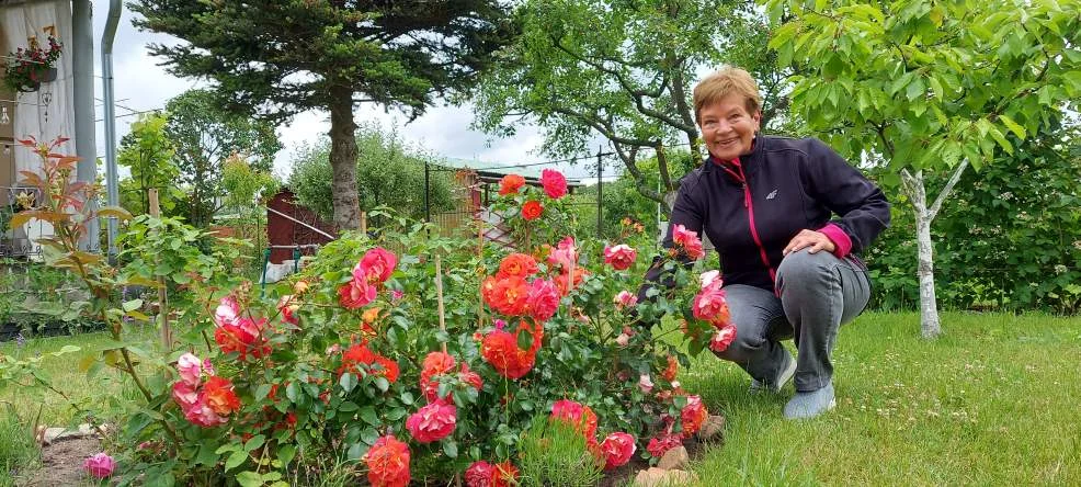 Z roślinami nadaje na tych samych falach - Zdjęcie główne