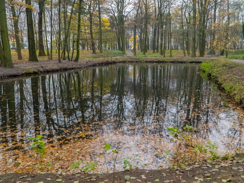 Park na Szubiankach w Jarocinie będzie rewitalizowany