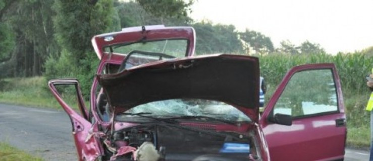 Kierowca uderzył w drzewo. Pasażer ciężko ranny  - Zdjęcie główne