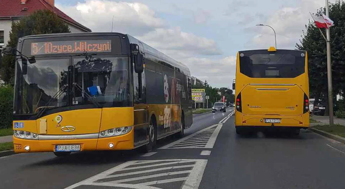 Gmina Jarocin zapewnia bezpłatny dowóz na II turę wyborów. Są dwie możliwości - Zdjęcie główne