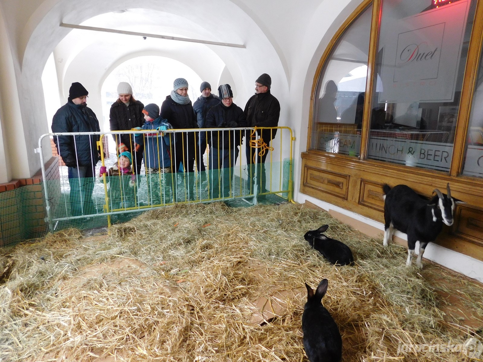 Jarocin. Żywa szopka na rynku - Zdjęcie główne