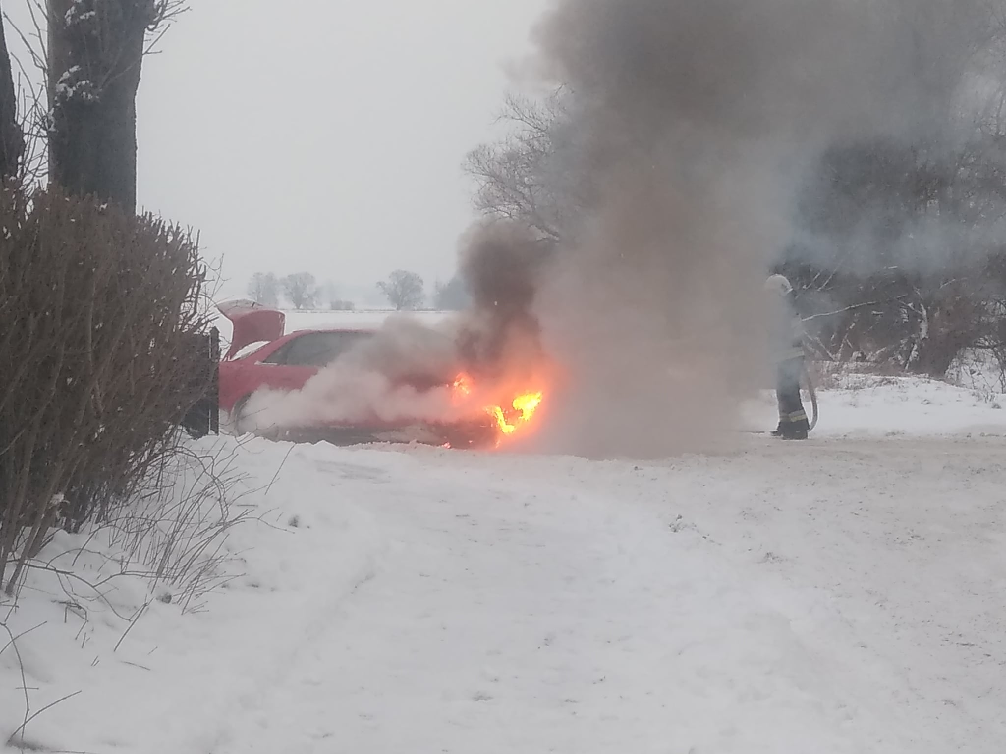 Jechał audi, auto się zapaliło. Nie udało się ugasić pojazdu  - Zdjęcie główne