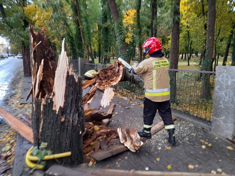 Burza z silnym wiatrem na terenie Jarocina i okolicy [ZDJĘCIA]  - Zdjęcie główne