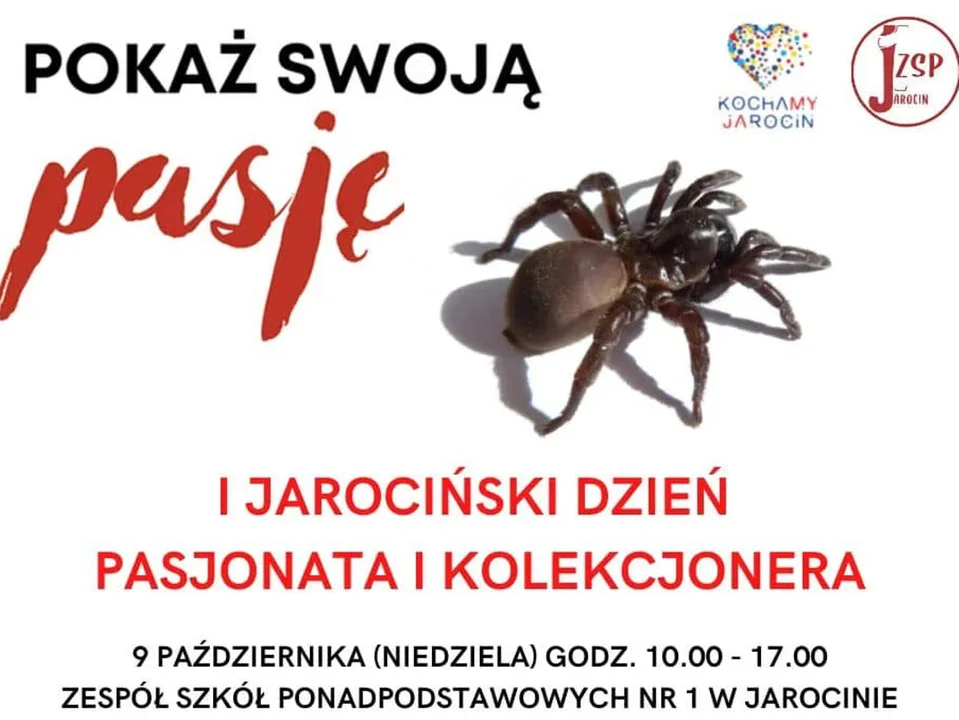 I Jarociński Dzień Pasjonata i Kolekcjonera w ZSP nr 1. Zapisy do poniedziałku - Zdjęcie główne