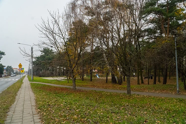Park na Szubiankach w Jarocinie będzie rewitalizowany - Zdjęcie główne