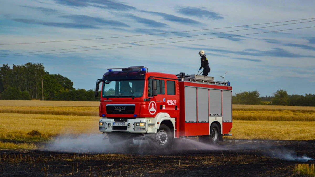 W Parzęczewie zapaliło się zboże na pniu. Straż pożarna w akcji [AKTUALIZACJA] - Zdjęcie główne