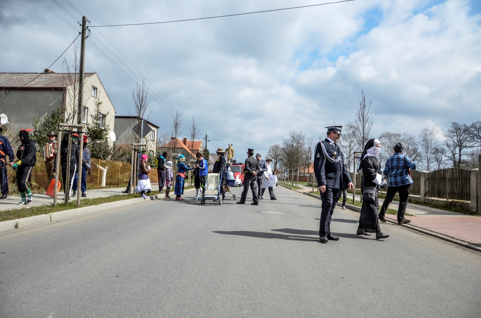 Zdjęcia Niedźwiedzi 2015 autorstwa Adama Majewskiego - Zdjęcie główne