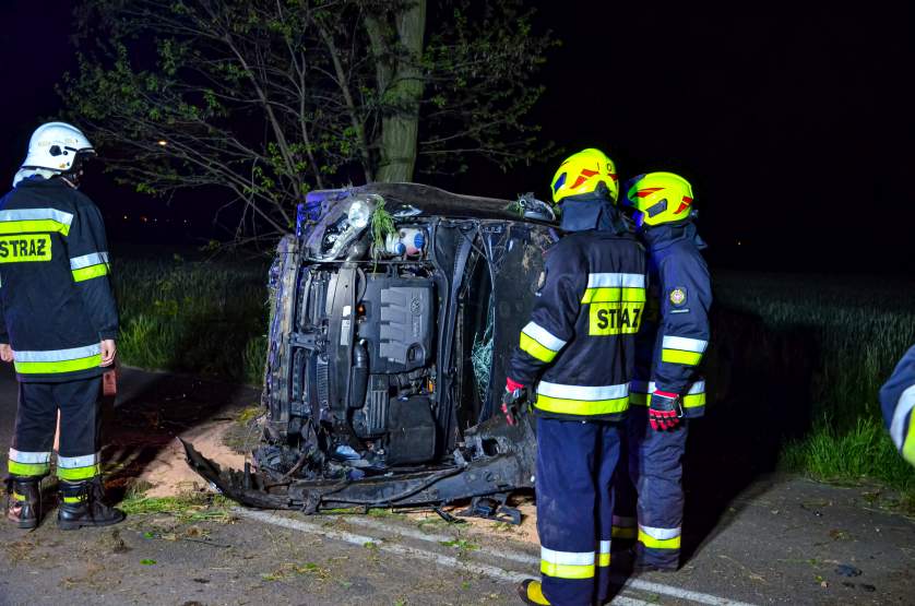 Dachowanie na drodze Żerków - Wilkowyja 