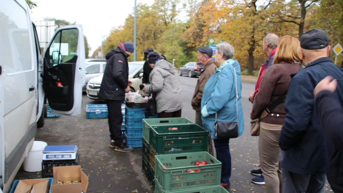 Kiedy stoi Pan z Jabłkami w Jarocinie? Jakie są obecnie ceny owoców?  [ZDJĘCIA, WIDEO] - Zdjęcie główne