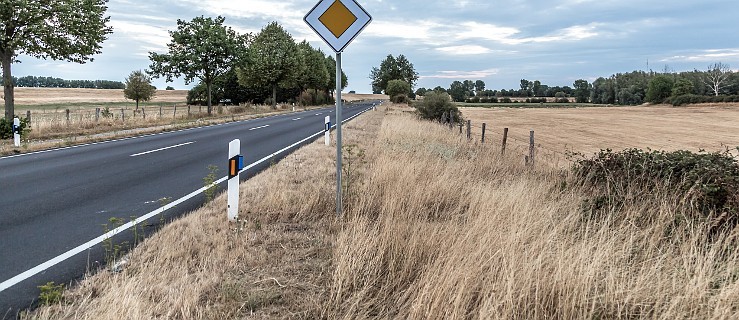 Susza na tysiącach hektarów  - Zdjęcie główne