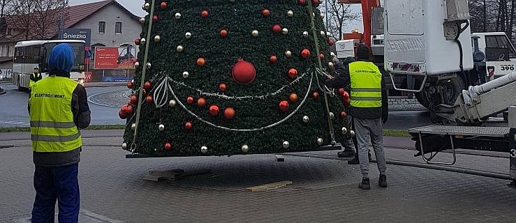 Trwa ustawianie świątecznej choinki. To prawdziwa operacja specjalna [ZDJĘCIA] - Zdjęcie główne