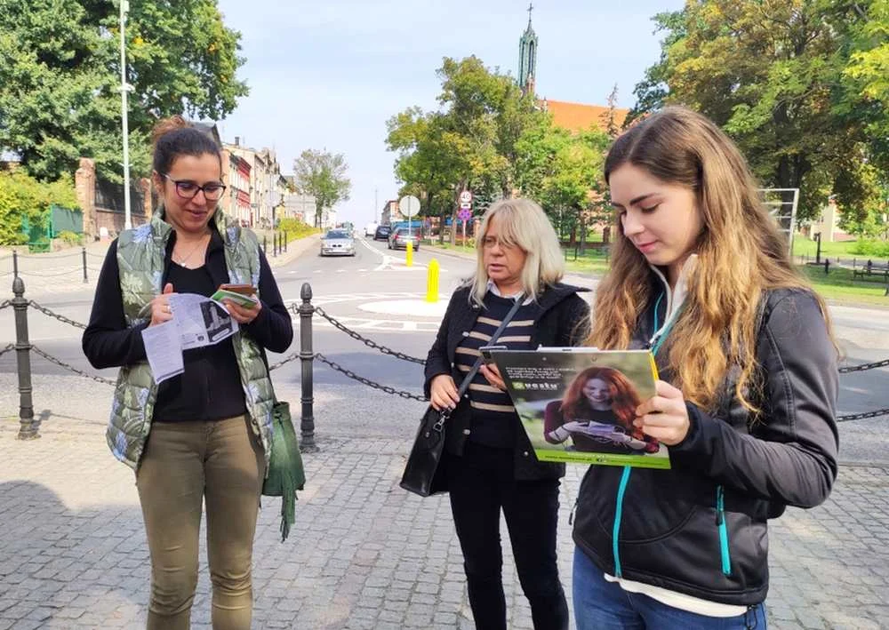 Geocaching w Nowym Mieście. Gra terenowa nie tylko dla turystów - Zdjęcie główne