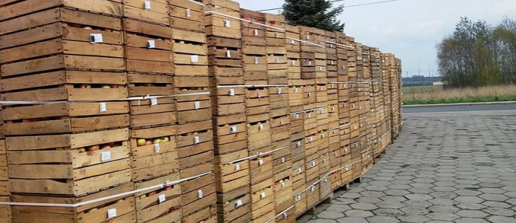 Rozdają jabłka na osiedlu Jarocinie - Zdjęcie główne