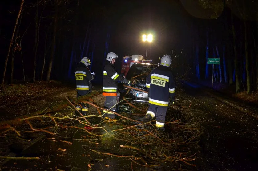 Silny wiatr. Drzewo runęło przed oplem. Worek big bag na linii energetycznej [ZDJĘCIA] - Zdjęcie główne