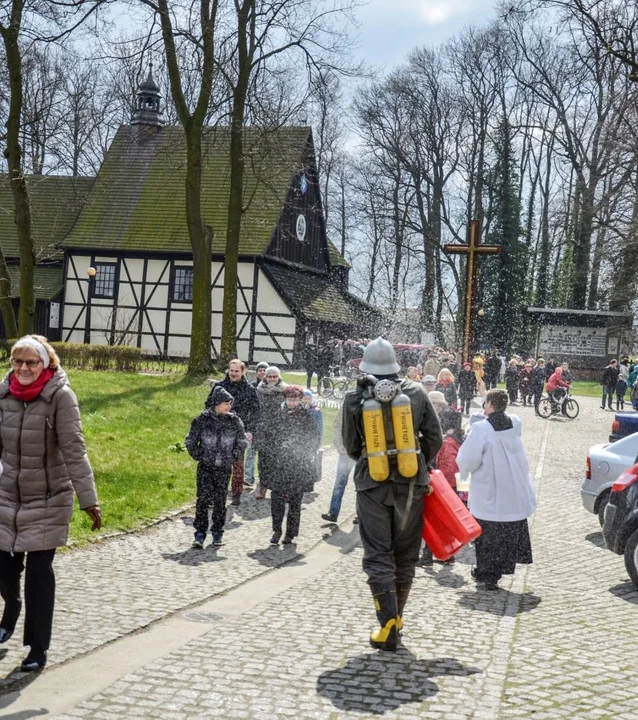 Niedźwiedzie powrócą w Lany Poniedziałek. Wielu na nich czekało od dwóch lat