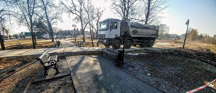 W parku Gorzeńskiego trwa wycinka. "Starodrzew pozostał nienaruszony"  - Zdjęcie główne