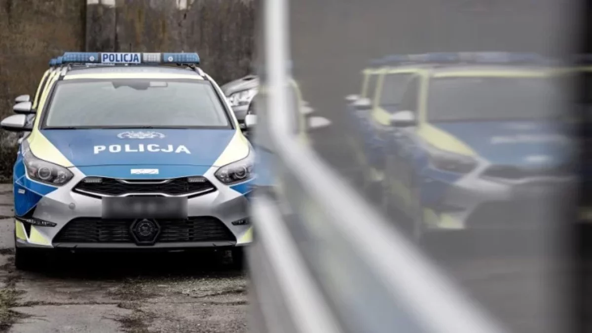 Wstrząsające wydarzenia w Jarocinie. Musiała interweniować policja. Co odkryli funkcjonariusze?