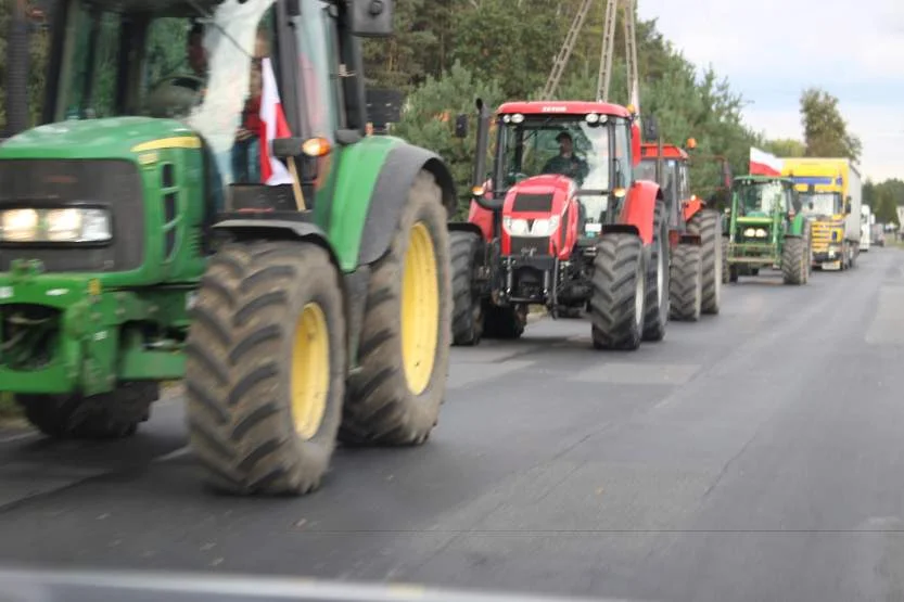 Rolnicy wyjadą na drogi. Znów będą utrudniania na DK11[ZDJĘCIA]   - Zdjęcie główne