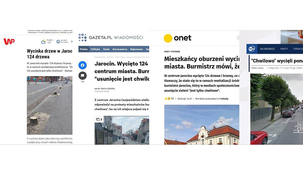 Wycięte drzewa w Jarocinie na ustach całej Polski. O sprawie mówią największe media w kraju  - Zdjęcie główne