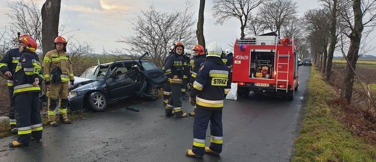 Samochód uderzył w drzewo. Jedna osoba poszkodowana [ZDJĘCIA] - Zdjęcie główne