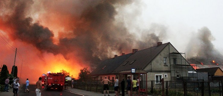 Budynek płonie od wczoraj. Nie uratowali zwierząt, milionowe straty - Zdjęcie główne