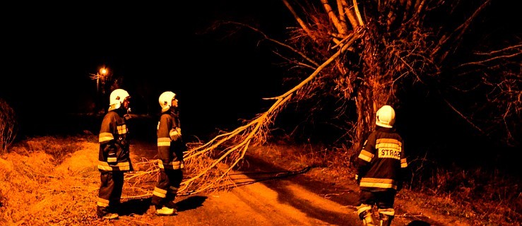 Powalone drzewa, zerwanie linie energetyczne - Zdjęcie główne