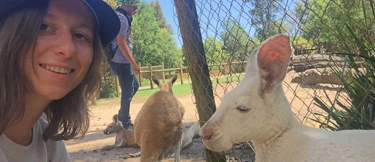 Masz psa? Powinieneś to wiedzieć! Rozmowa z behawiorystką Magdaleną Czajką z Jarocina