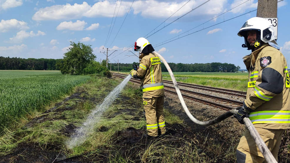 Pożar trawy i plama oleju na drodze [GALERIA] - Zdjęcie główne