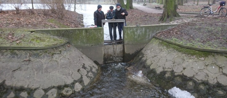 Są wyniki badań wody w stawie i Lipince. Chlorki, siarczany i bakterie fekalne…  - Zdjęcie główne