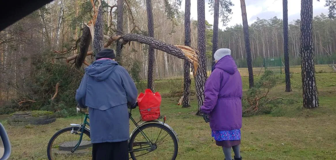 Nawałnica nad Jarocinem i okolicą. Dziesiątki uszkodzonych dachów [ZDJĘCIA, WIDEO, RARORT] - Zdjęcie główne