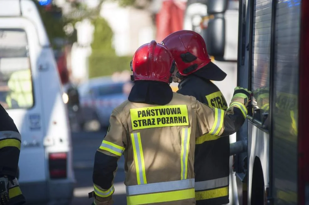 Schrony w Jarocinie. Gdzie w naszym mieście się znajdują? - Zdjęcie główne