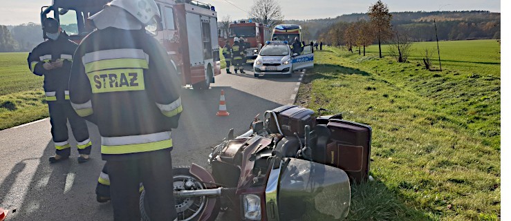 Sarna wybiegła na drogę. Motocyklista w nią uderzył  - Zdjęcie główne