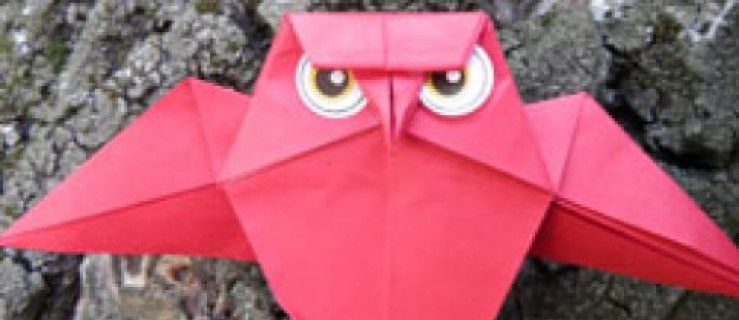 Leśne origami - Zdjęcie główne