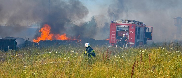  Rekordowa liczba pożarów. Statystki są zatrważające - Zdjęcie główne