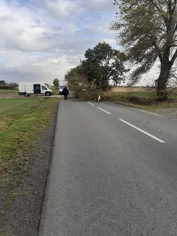 Burza z silnym wiatrem na terenie Jarocina i okolicy. Droga Żerków - Dobieszczyzna 