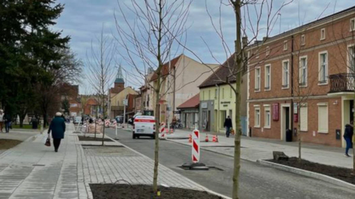 Zielony projekt gminy Jarocin. W założeniach mieszkańcy posadzą 10 tysięcy drzewek - Zdjęcie główne