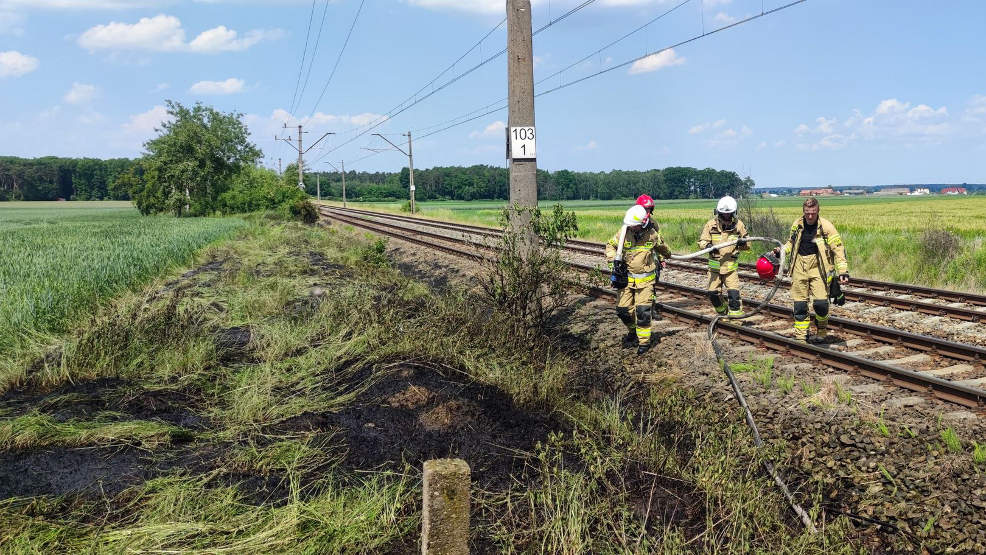 Pożar trawy i plama oleju na drodze [GALERIA]