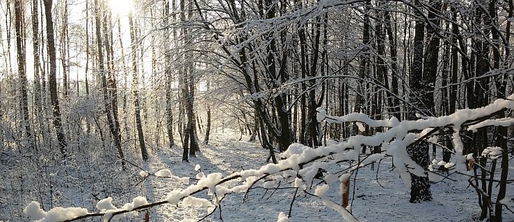 TO JUŻ DZISIAJ. Najdłuższe ciemności w roku  - Zdjęcie główne