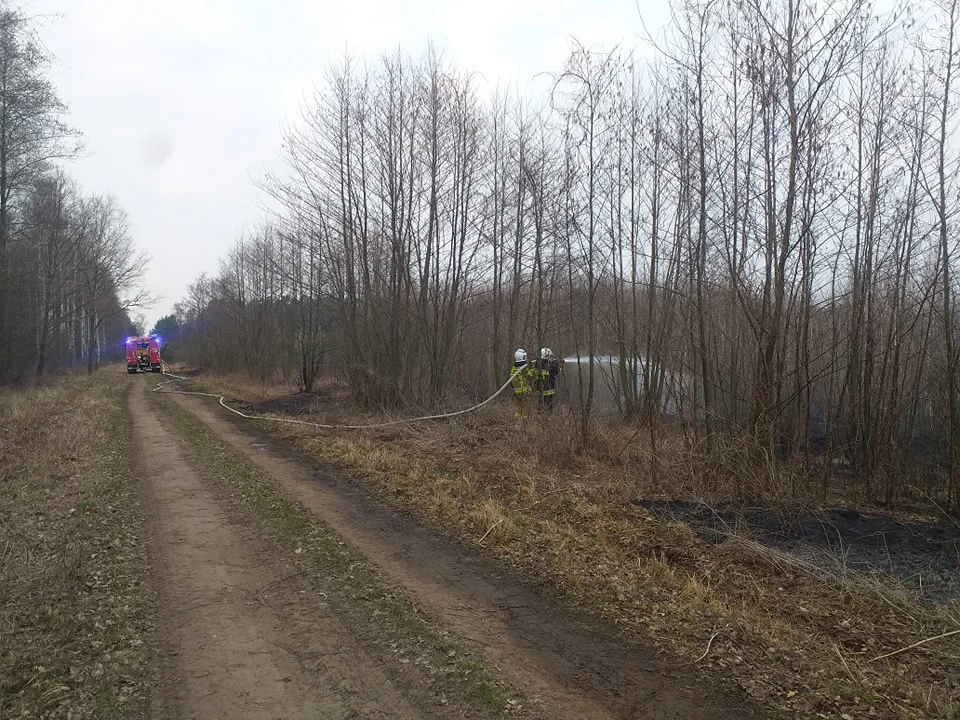 Pożarowa środa w Jarocinie i okolicy. Jedna osoba z poparzeniami w szpitalu