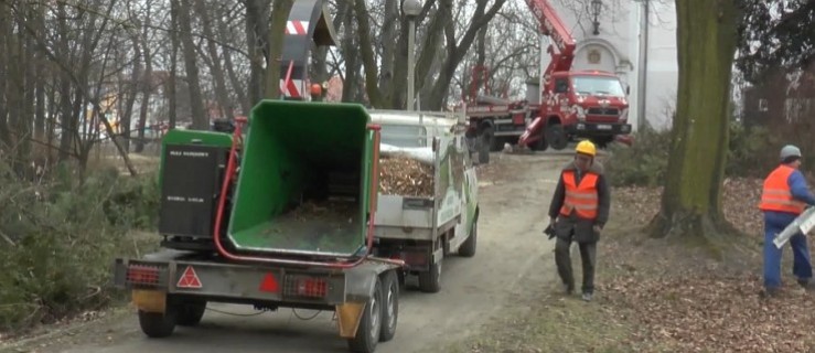 Gminie zabrakło pieniędzy. Przetarg na zieleń unieważniony  - Zdjęcie główne