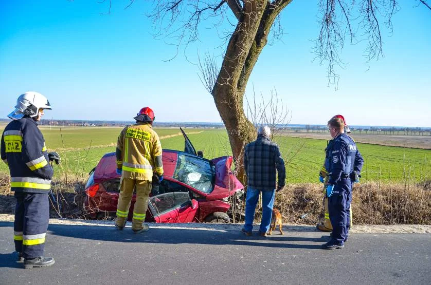 Zaskakujące ustalenia policji po wypadku na drodze z Żerkowa do Raszew [ZDJĘCIA] - Zdjęcie główne