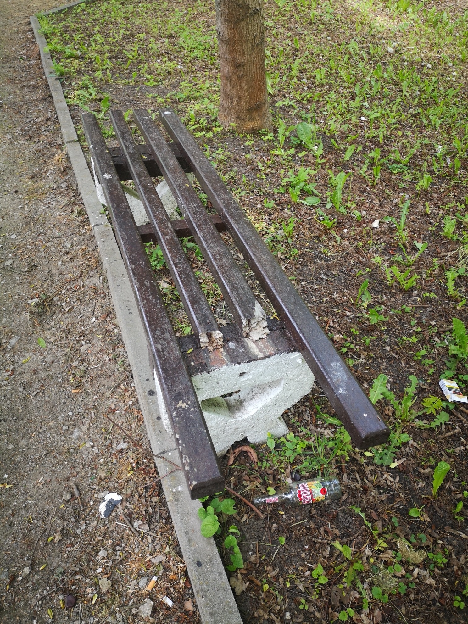 Zniszczono ławki w parkach. Urząd apeluje [GALERIA] - Zdjęcie główne