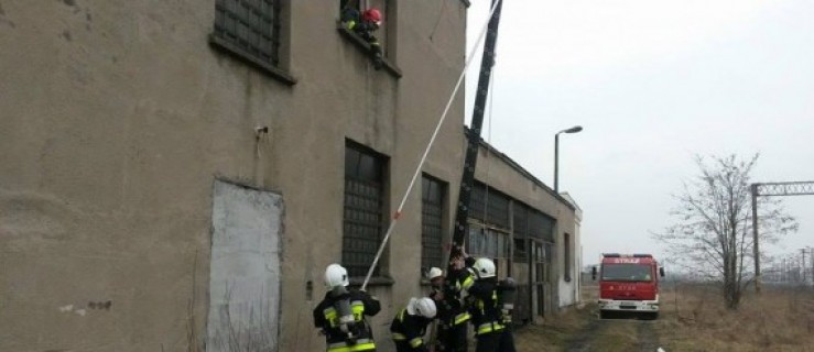 Sześć zastępów straży pożarnej w Parowozowni w Jarocinie - Zdjęcie główne