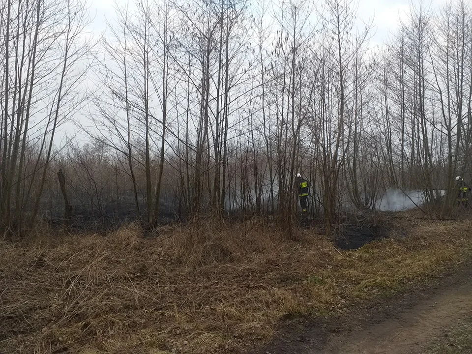 Pożarowa środa w Jarocinie i okolicy. Jedna osoba z poparzeniami w szpitalu